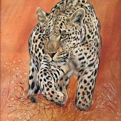 ANIMALS ALT TEXT